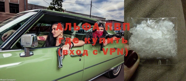 PSILOCYBIN Волосово