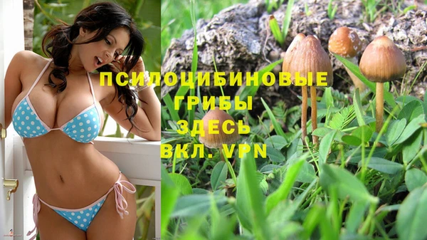 ПСИЛОЦИБИНОВЫЕ ГРИБЫ Верея