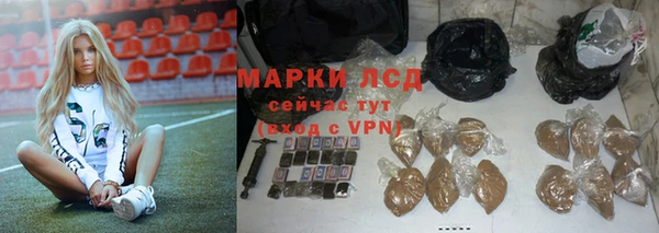 ПСИЛОЦИБИНОВЫЕ ГРИБЫ Верея